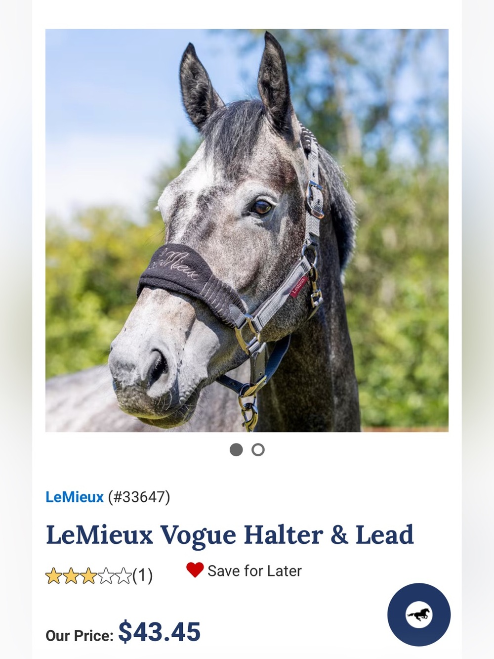 LeMieux Vogue Black Halter & Lead